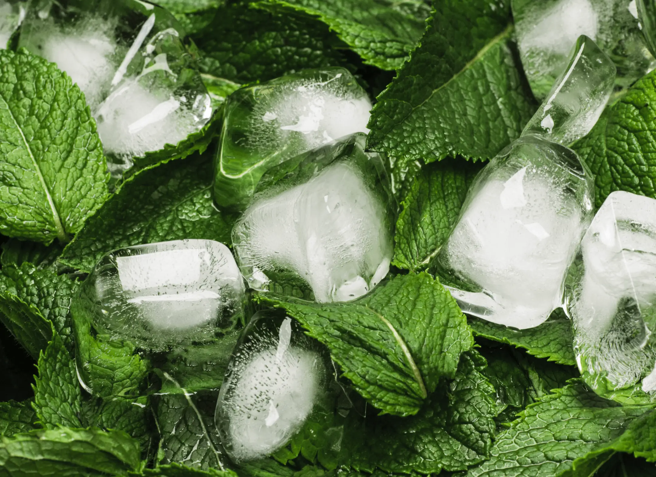 Menthol